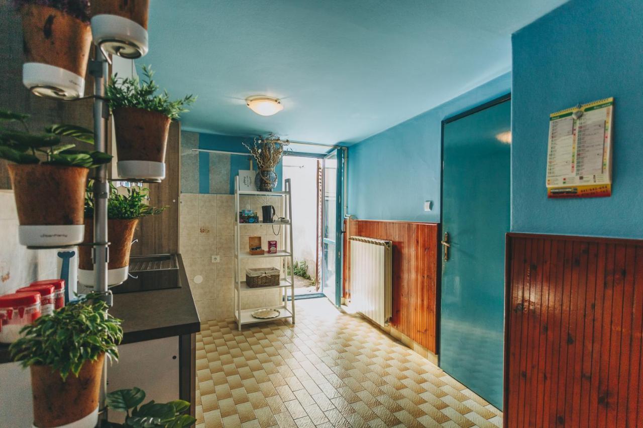 科佩尔 House365酒店 外观 照片